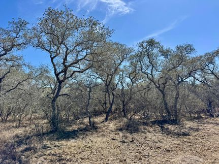 Recreational Property in Bee County, Texas