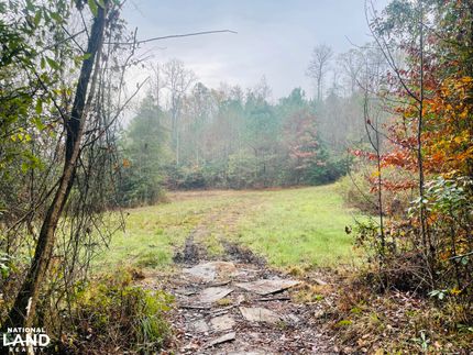 Farm and Ranch in Tuscaloosa County, Alabama