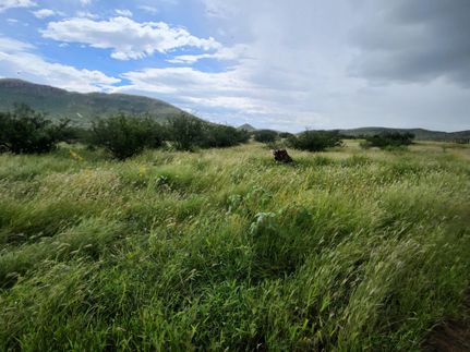 Land for sale in Cochise County, Arizona