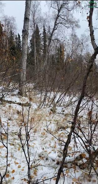 Land in Fairbanks North Star Borough, Alaska