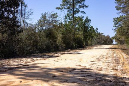 Undeveloped Land in Jackson County, Florida