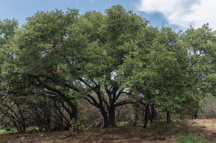 Land in Hood County, Texas