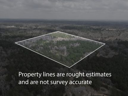 Timberland Property in Pike County, Mississippi