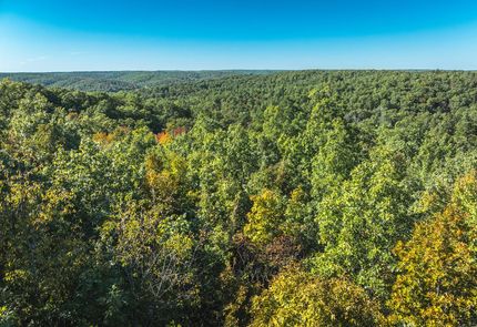 Farm and Ranch in Iron County, Missouri