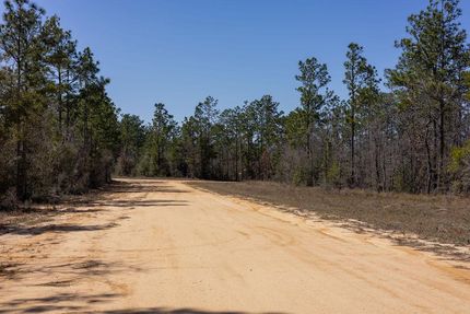 Farm and Ranch in Jackson County, Florida