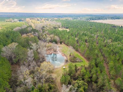 Hunting Property in Macon County, Georgia