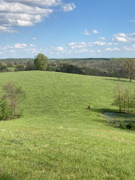 Hunting Property for sale in Madison County, Arkansas