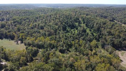 Timberland Property in Wayne County, Missouri