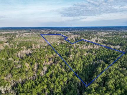 Undeveloped Land for sale in Amite County, Mississippi