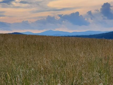 Land for sale in Wilkes County, North Carolina