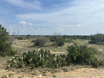 Hunting Property in Crockett County, Texas