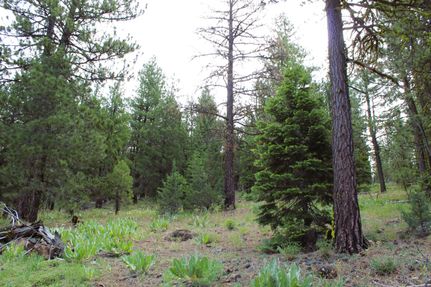 Farm and Ranch in Modoc County, California