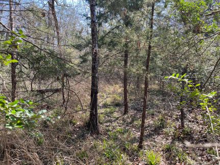 Homesite in Limestone County, Texas