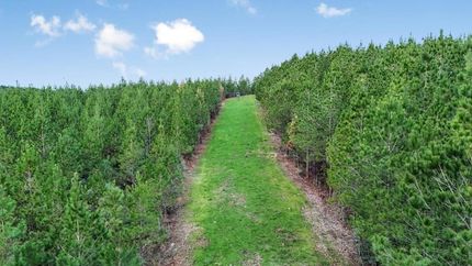 Farm and Ranch in Amite County, Mississippi
