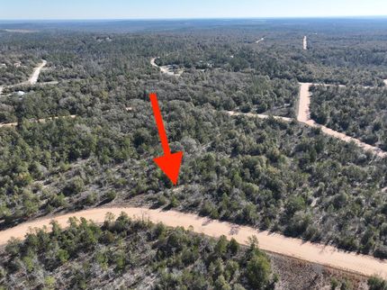 Undeveloped Land in Jackson County, Florida