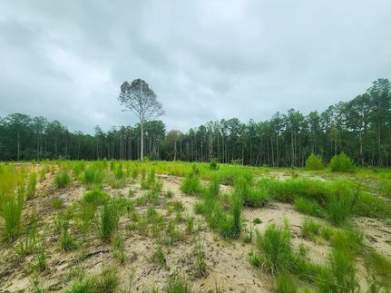 Undeveloped Land in Jasper County, Texas