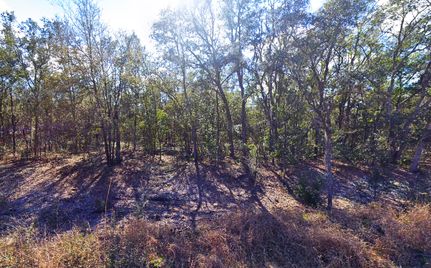 Farm and Ranch in Putnam County, Florida