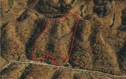 Timberland Property in Lee County, Virginia