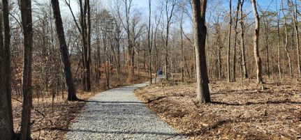 Undeveloped Land in Meigs County, Ohio