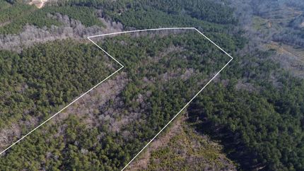 Undeveloped Land for sale in Union County, South Carolina