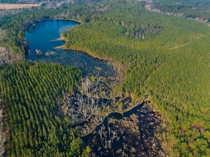 Timberland Property for sale in Candler County, Georgia