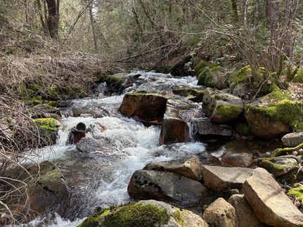 Undeveloped Land for sale in Nevada County, California