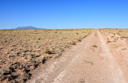 Timberland Property in Torrance County, New Mexico