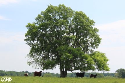 Recreational Property in Montgomery County, Alabama