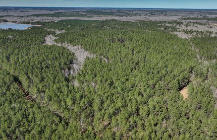 Timberland Property in Newton County, Mississippi