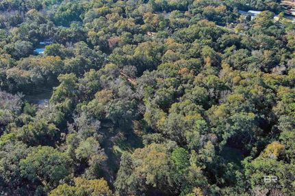 Undeveloped Land in Baldwin County, Alabama