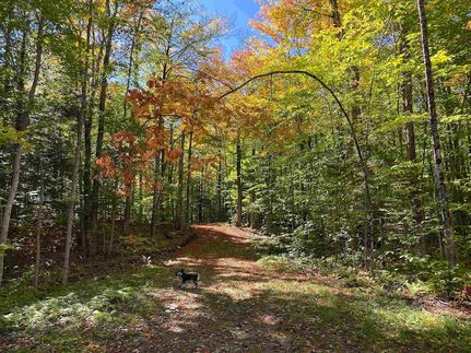 Land in Windsor County, Vermont