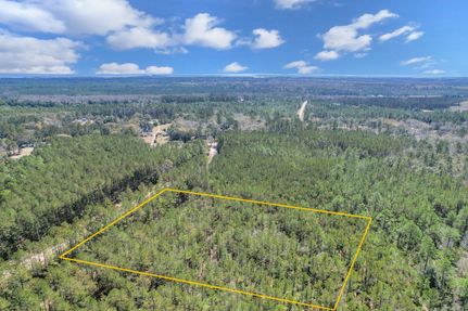 Undeveloped Land in McIntosh County, Georgia