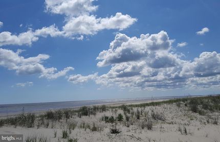 Undeveloped Land in Sussex County, Delaware