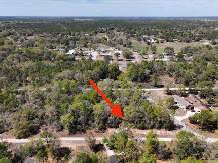 Undeveloped Land for sale in Levy County, Florida