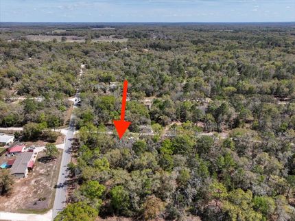 Land for sale in Levy County, Florida