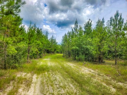 Land in Holmes County, Florida