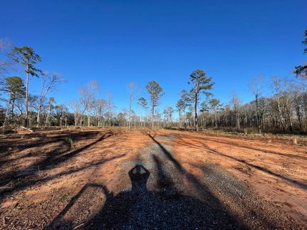Land for sale in Monroe County, Georgia
