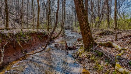 Undeveloped Land for sale in Floyd County, Georgia