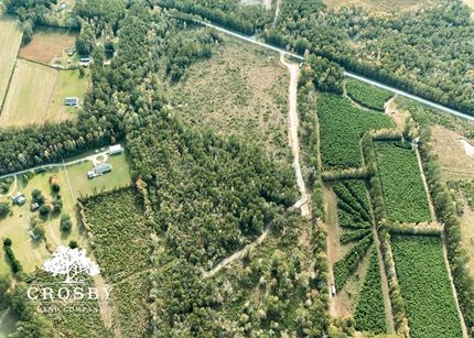 Undeveloped Land in Horry County, South Carolina