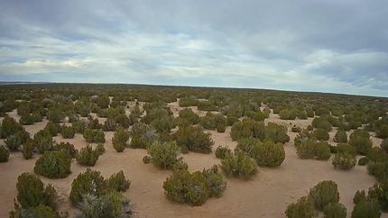 Recreational Property in Apache County, Arizona