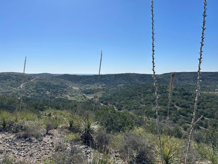 Land for sale in Uvalde County, Texas