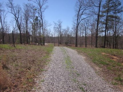 Undeveloped Land for sale in Gilmer County, Georgia
