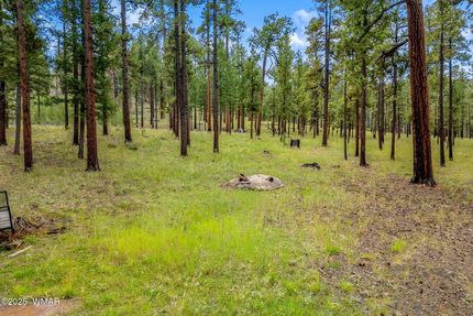 Land for sale in Apache County, Arizona