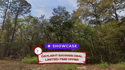 Undeveloped Land in Putnam County, Florida