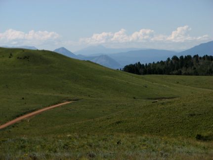 Undeveloped Land in Custer County, Colorado