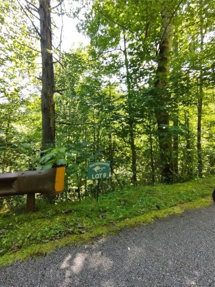 Undeveloped Land for sale in Jackson County, North Carolina