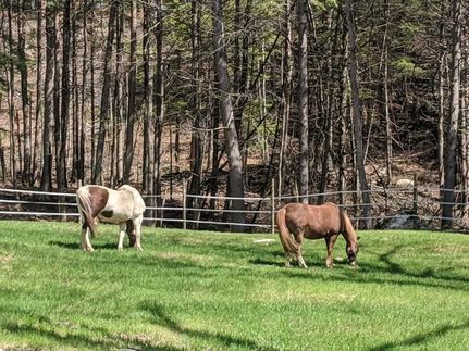 Timberland Property in Franklin County, Massachusetts