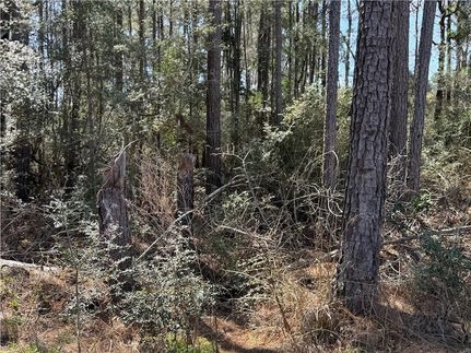 Undeveloped Land in Grimes County, Texas