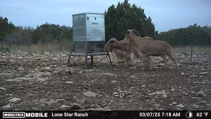 Farm and Ranch in Edwards County, Texas