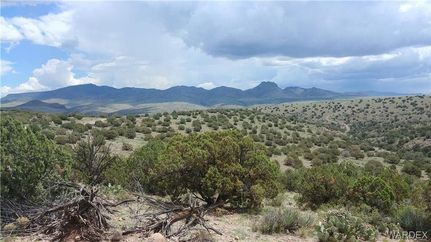 Undeveloped Land in Mohave County, Arizona
